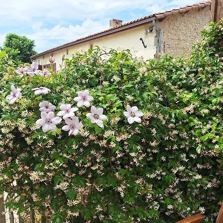 Holiday home Cosy Grand Confort Dans Un Ecrin De Verdure *