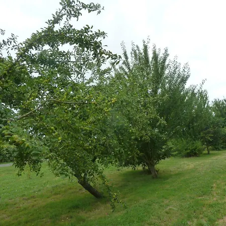 Cosy Grand Confort Dans Un Ecrin De Verdure *