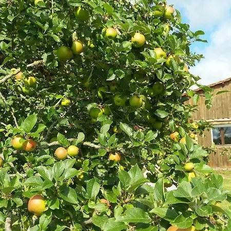 Cosy Grand Confort Dans Un Ecrin De Verdure Agudelle