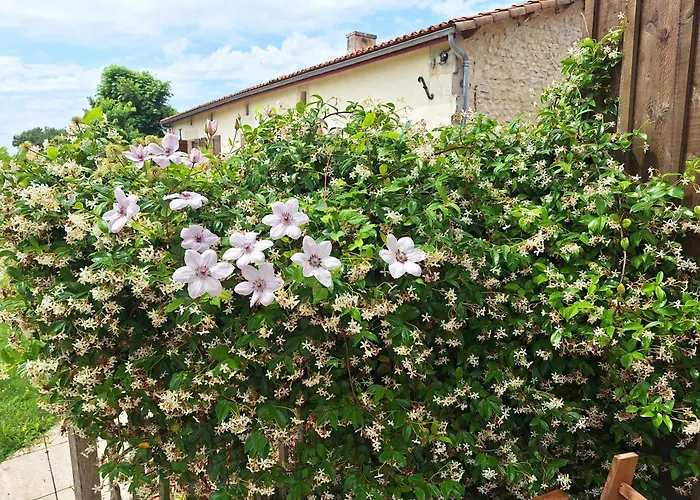 Holiday home Cosy Grand Confort Dans Un Ecrin De Verdure *