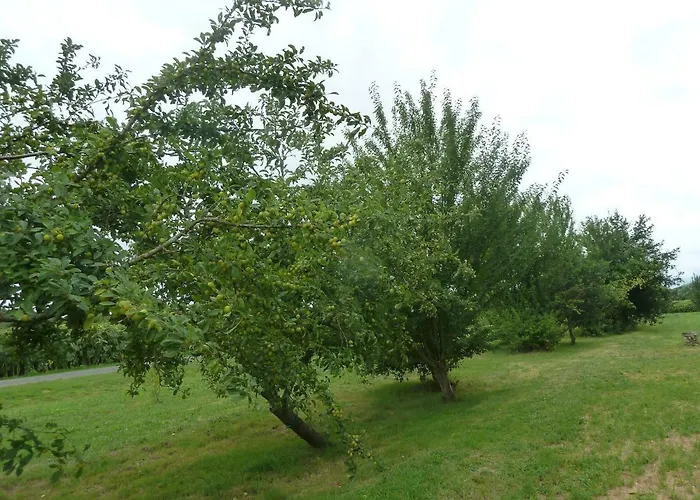 Cosy Grand Confort Dans Un Ecrin De Verdure *